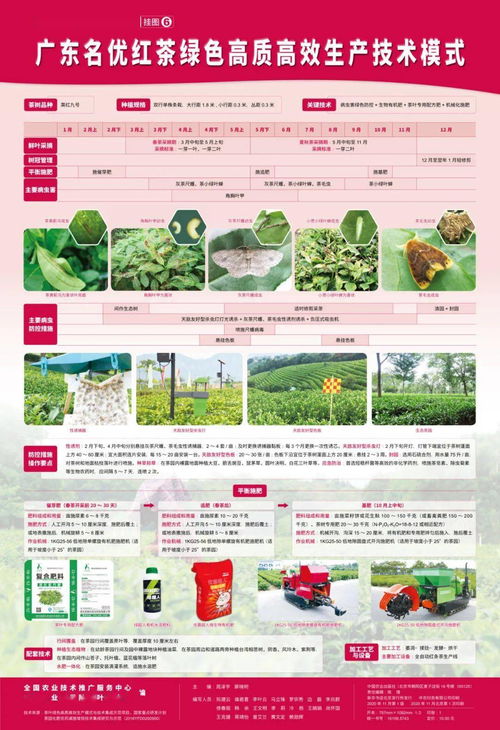 茶葉綠色高質高效生產模式 圖文并茂，一學就會